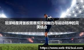 AC米兰主场气势如虹