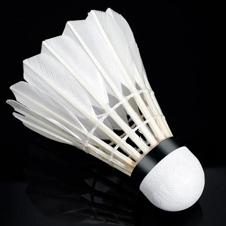 羽毛球——印尼大师赛：高昉洁止步首轮.