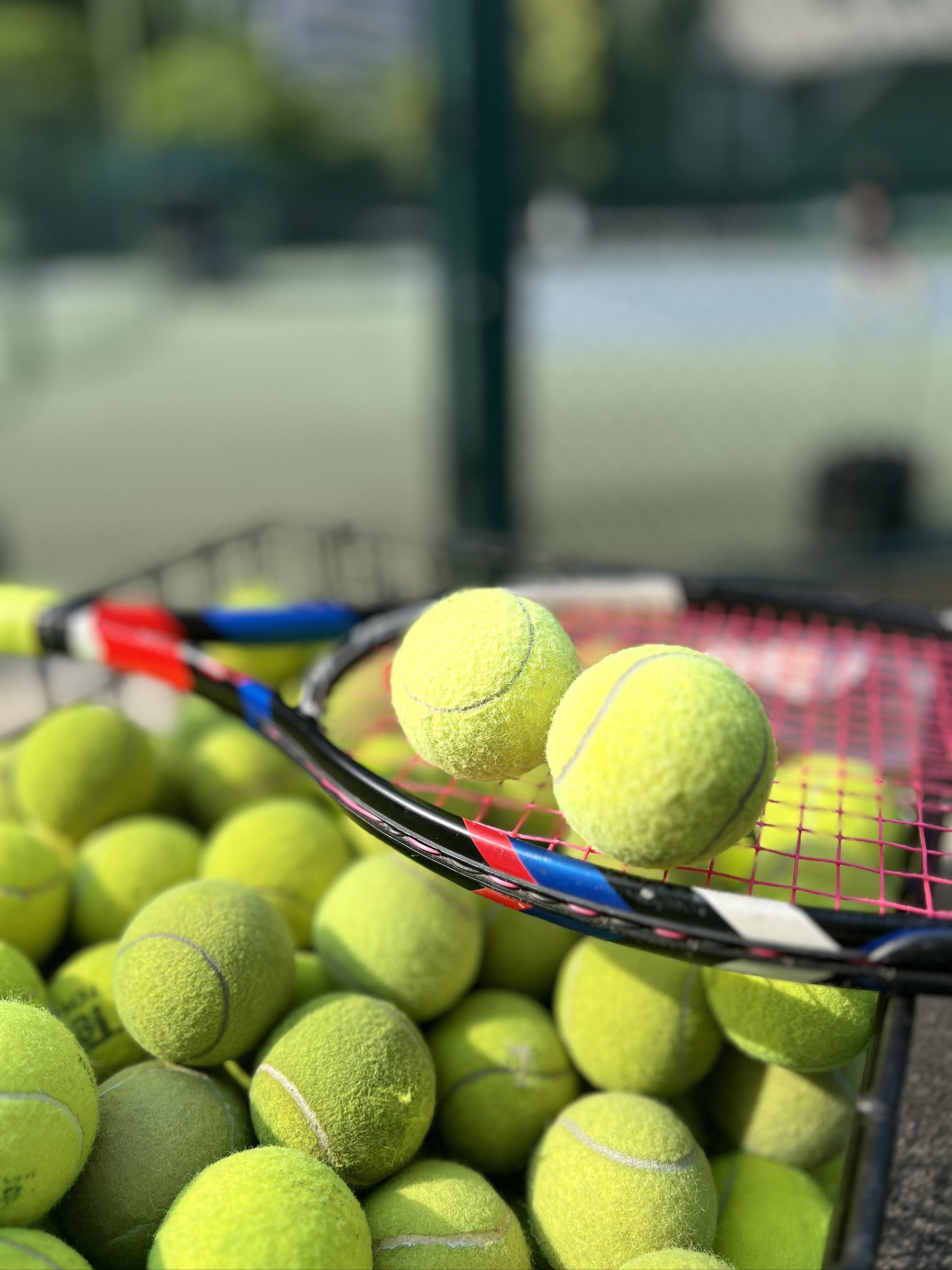 与卡哇伊的 与卡哇伊的